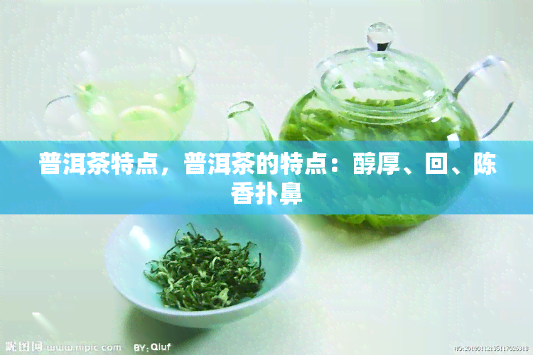 普洱茶特点，普洱茶的特点：醇厚、回、陈香扑鼻