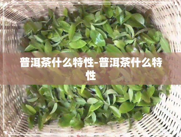 普洱茶什么特性-普洱茶什么特性