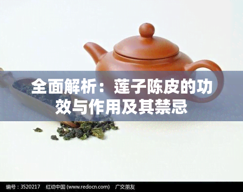 全面解析：莲子陈皮的功效与作用及其禁忌