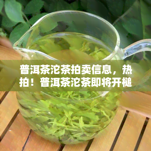 普洱茶沱茶拍卖信息，热拍！普洱茶沱茶即将开槌，机会难得，敬请关注！