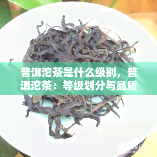 普洱沱茶是什么级别，普洱沱茶：等级划分与品质特点解析