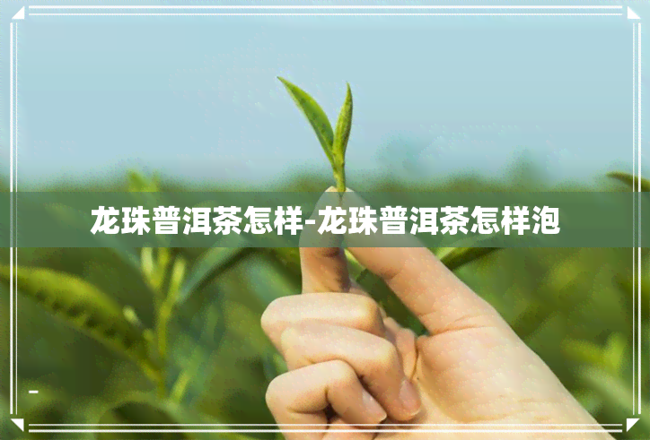 龙珠普洱茶怎样-龙珠普洱茶怎样泡