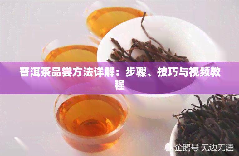 普洱茶品尝方法详解：步骤、技巧与视频教程