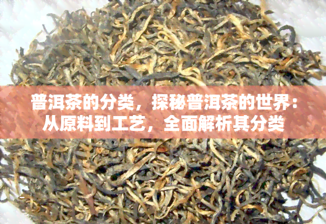 普洱茶的分类，探秘普洱茶的世界：从原料到工艺，全面解析其分类