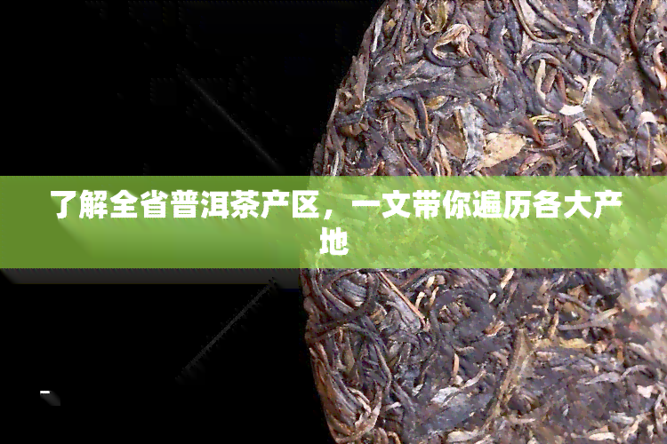 了解全省普洱茶产区，一文带你遍历各大产地