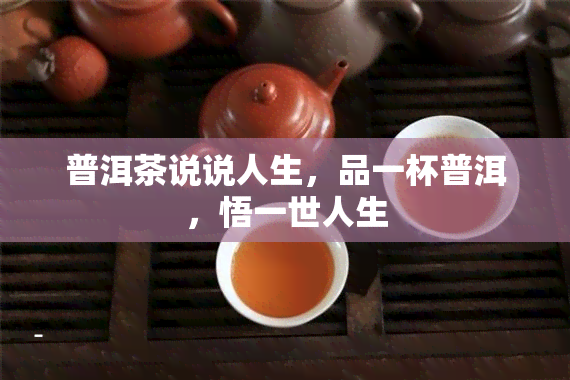 普洱茶说说人生，品一杯普洱，悟一世人生