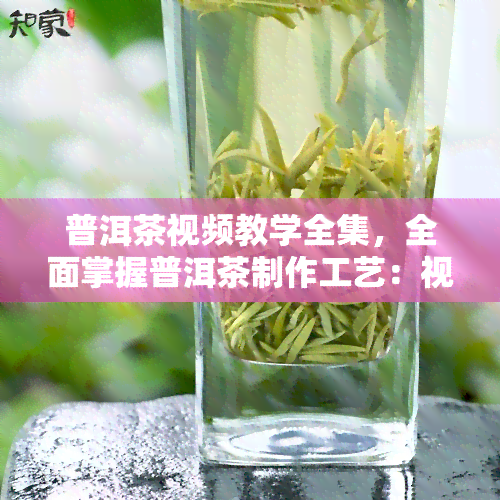 普洱茶视频教学全集，全面掌握普洱茶制作工艺：视频教学全集