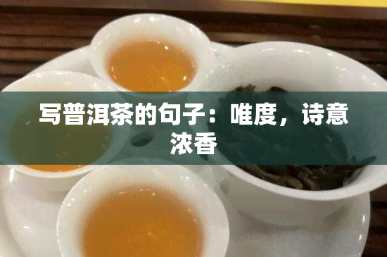 写普洱茶的句子：唯度，诗意浓香