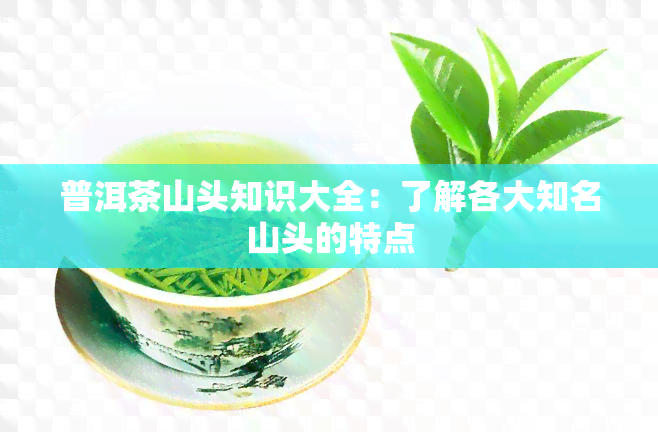 普洱茶山头知识大全：了解各大知名山头的特点