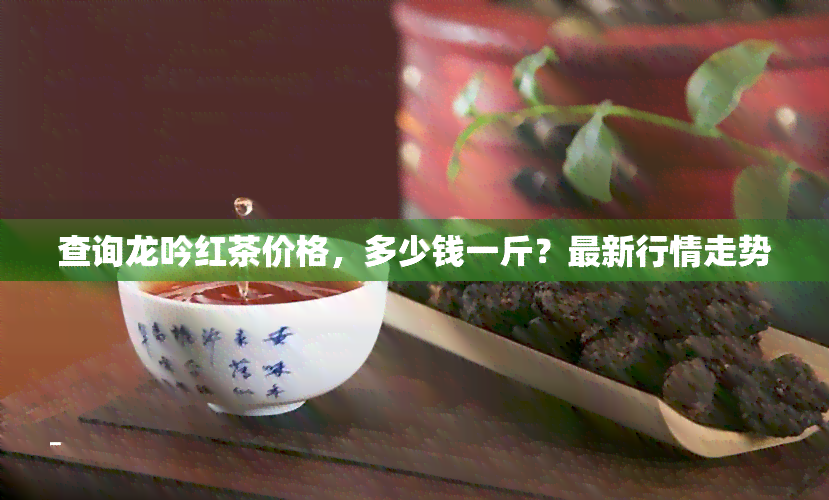 查询龙吟红茶价格，多少钱一斤？最新行情走势