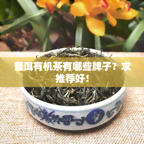 普洱有机茶有哪些牌子？求推荐好！