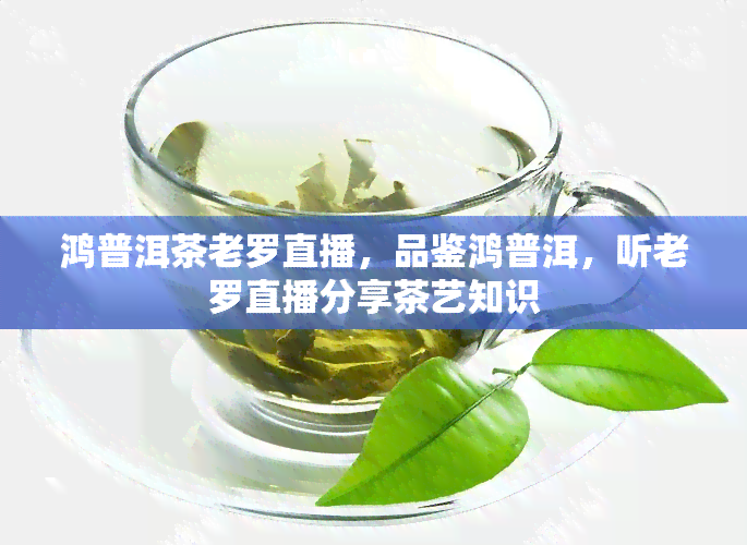 鸿普洱茶老罗直播，品鉴鸿普洱，听老罗直播分享茶艺知识