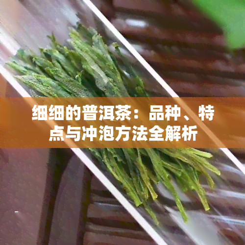 细细的普洱茶：品种、特点与冲泡方法全解析