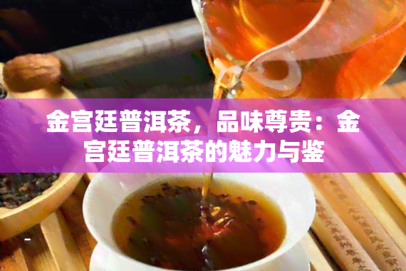 金宫廷普洱茶，品味尊贵：金宫廷普洱茶的魅力与鉴