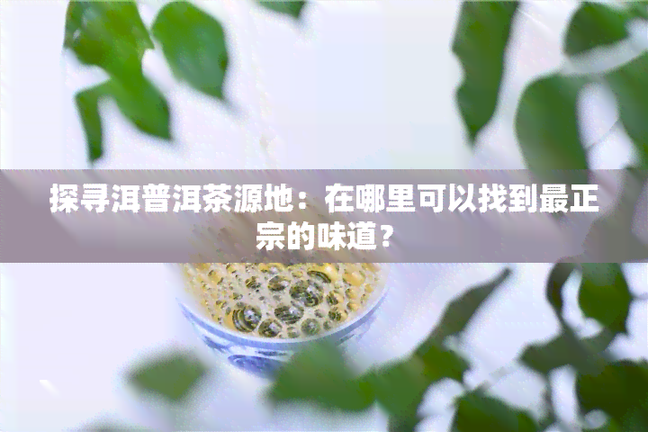 探寻洱普洱茶源地：在哪里可以找到最正宗的味道？