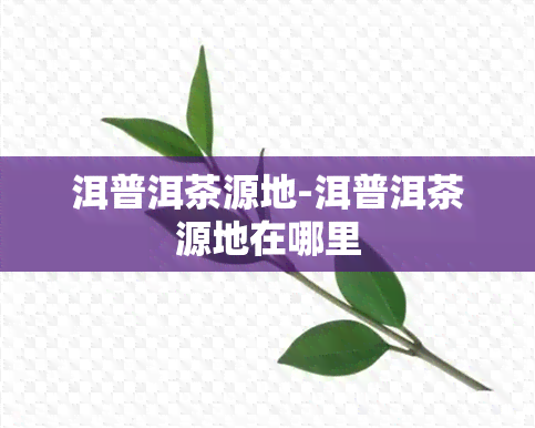 洱普洱茶源地-洱普洱茶源地在哪里