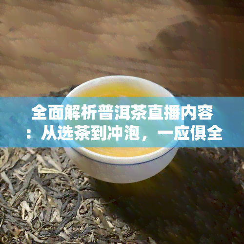 全面解析普洱茶直播内容：从选茶到冲泡，一应俱全！