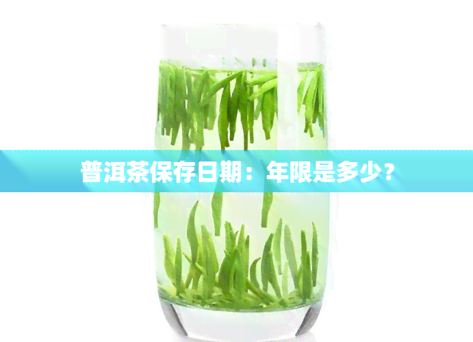 普洱茶保存日期：年限是多少？