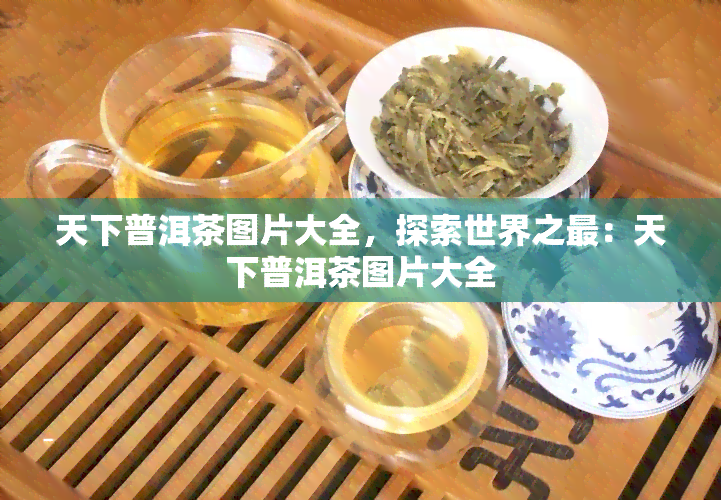 天下普洱茶图片大全，探索世界之最：天下普洱茶图片大全