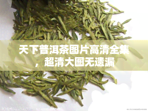 天下普洱茶图片高清全集，超清大图无遗漏