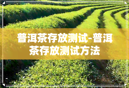 普洱茶存放测试-普洱茶存放测试方法