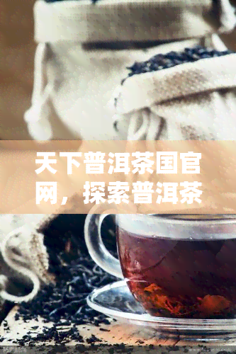 天下普洱茶国官网，探索普洱茶的奥秘：访问天下普洱茶国官网