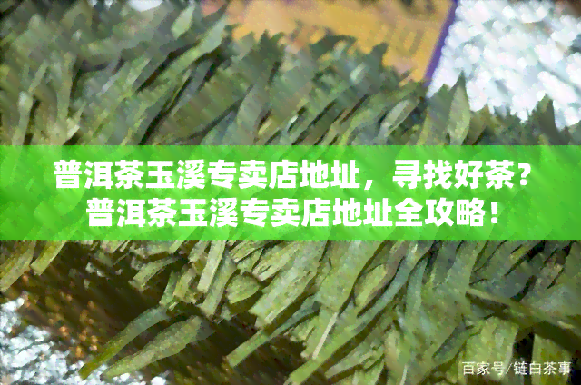 普洱茶玉溪专卖店地址，寻找好茶？普洱茶玉溪专卖店地址全攻略！