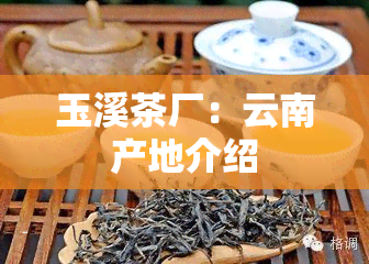 玉溪茶厂：云南产地介绍