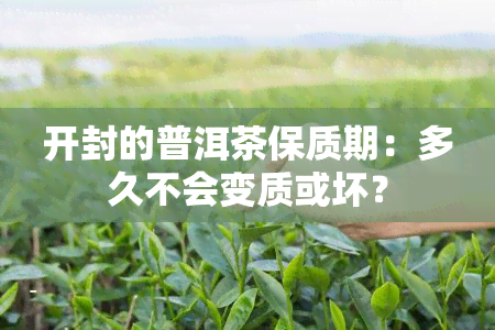 开封的普洱茶保质期：多久不会变质或坏？