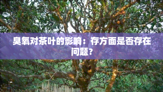 臭氧对茶叶的影响：存方面是否存在问题？