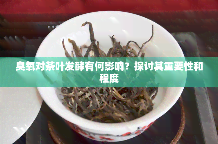 臭氧对茶叶发酵有何影响？探讨其重要性和程度