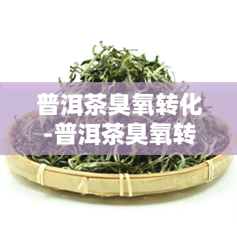 普洱茶臭氧转化-普洱茶臭氧转化率是多少