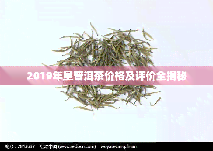 2019年星普洱茶价格及评价全揭秘