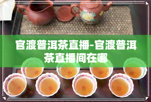 官渡普洱茶直播-官渡普洱茶直播间在哪