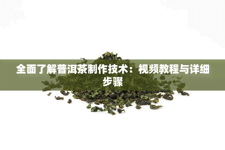 全面了解普洱茶制作技术：视频教程与详细步骤