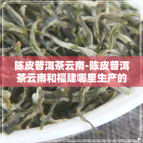 陈皮普洱茶云南-陈皮普洱茶云南和福建哪里生产的的好?