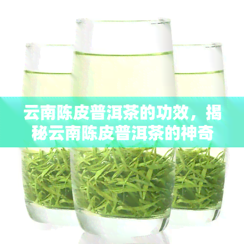 云南陈皮普洱茶的功效，揭秘云南陈皮普洱茶的神奇功效，你一定要知道！