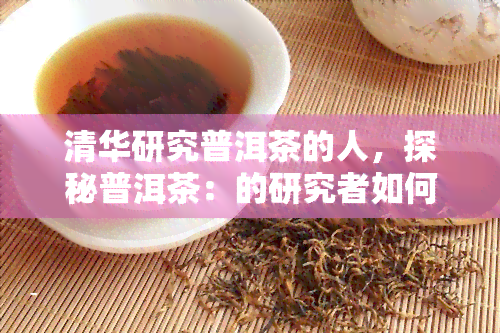 清华研究普洱茶的人，探秘普洱茶：的研究者如何揭示其奥秘