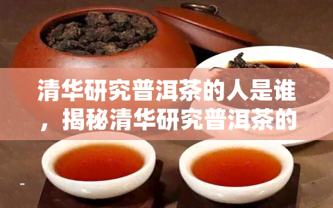 清华研究普洱茶的人是谁，揭秘清华研究普洱茶的专家：他是谁？