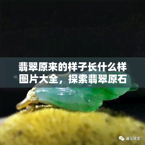 翡翠原来的样子长什么样图片大全，探索翡翠原石的真面目：珍贵照片大揭秘！