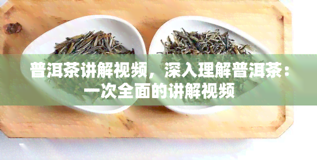 普洱茶讲解视频，深入理解普洱茶：一次全面的讲解视频