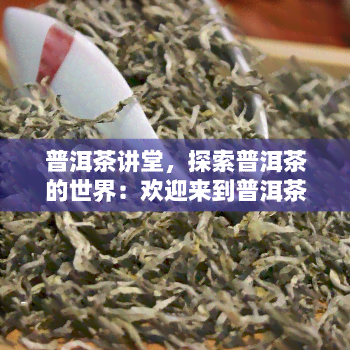 普洱茶讲堂，探索普洱茶的世界：欢迎来到普洱茶讲堂！