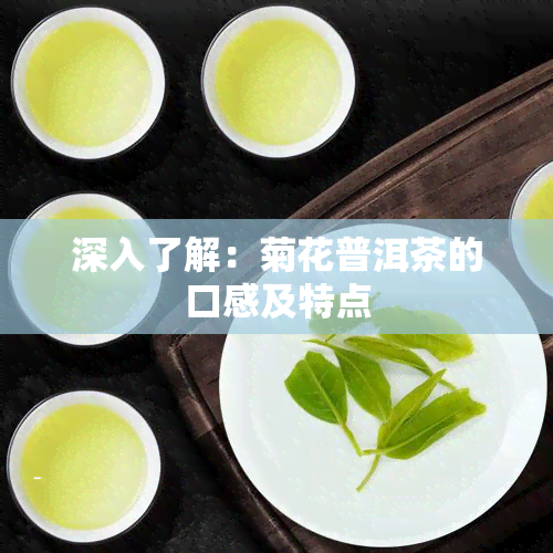 深入了解：菊花普洱茶的口感及特点