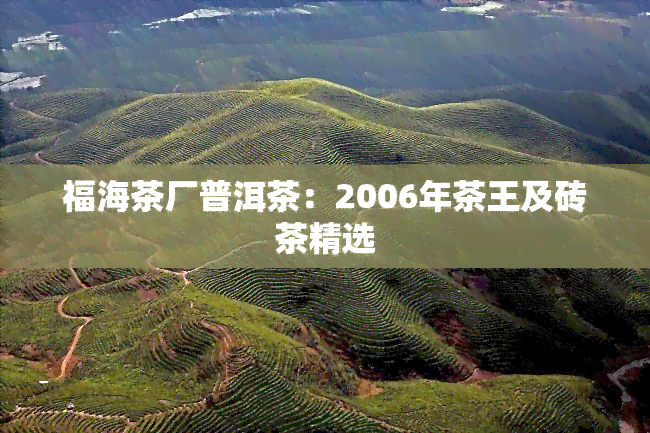 福海茶厂普洱茶：2006年茶王及砖茶精选