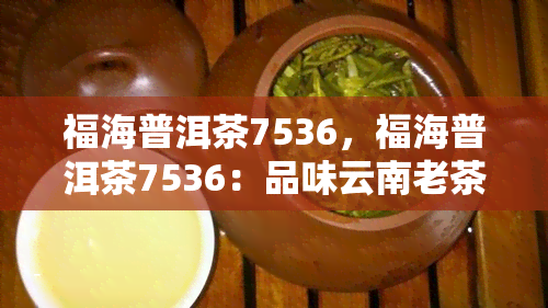 福海普洱茶7536，福海普洱茶7536：品味云南老茶厂的经典之作