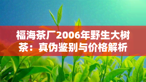 福海茶厂2006年野生大树茶：真伪鉴别与价格解析