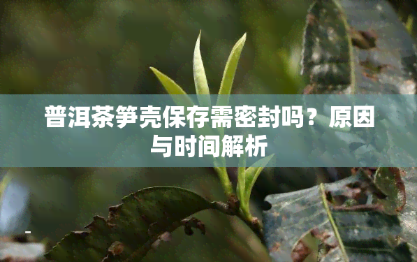 普洱茶笋壳保存需密封吗？原因与时间解析