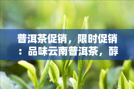 普洱茶促销，限时促销：品味云南普洱茶，醇香四溢！