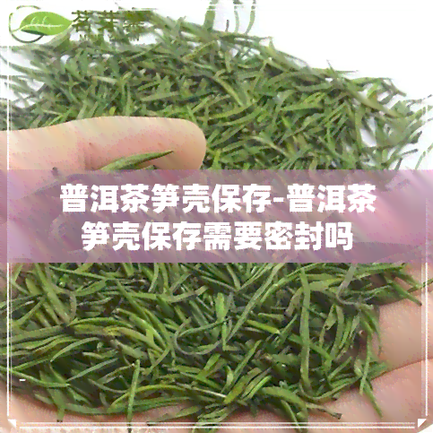 普洱茶笋壳保存-普洱茶笋壳保存需要密封吗