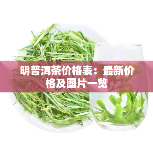 明普洱茶价格表：最新价格及图片一览